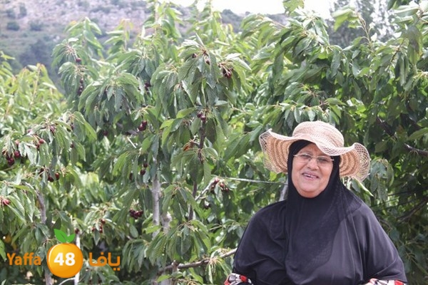 bayareq re7la shamal 0612 (71).JPG